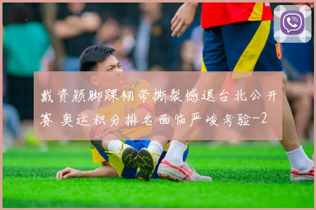 戴资颖脚踝韧带撕裂憾退台北公开赛 奥运积分排名面临严峻考验
