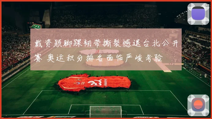 戴资颖脚踝韧带撕裂憾退台北公开赛 奥运积分排名面临严峻考验