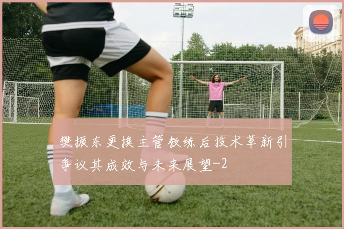 樊振东更换主管教练后技术革新引争议其成效与未来展望